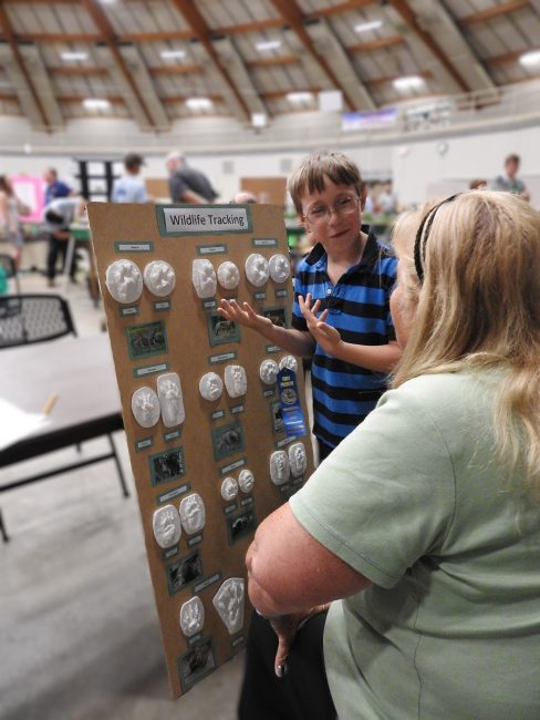 4-H project judging at the Waukesha County Fair