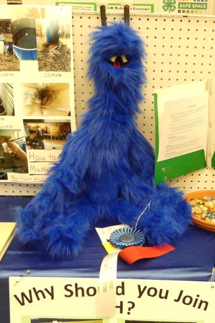 4-H puppet project on display at Waukesha County Fair