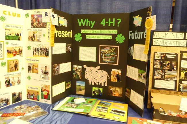 4-H projects on display at Waukesha County Fair