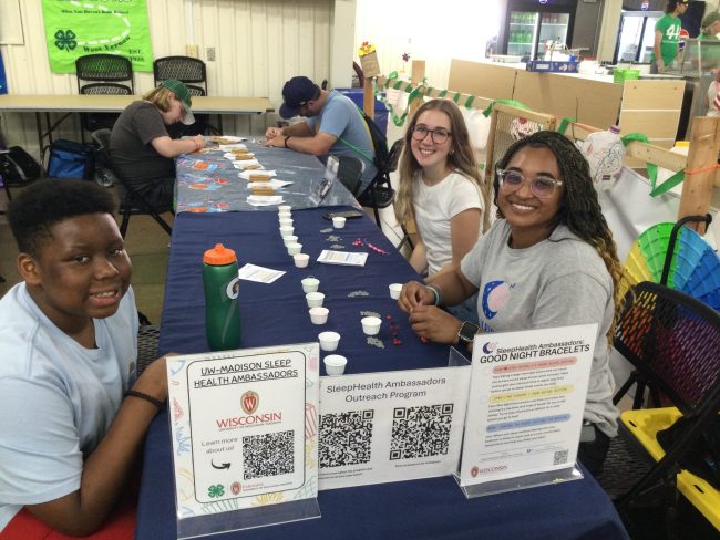 Visitors to the Waukesha County 4-H Kids Zone