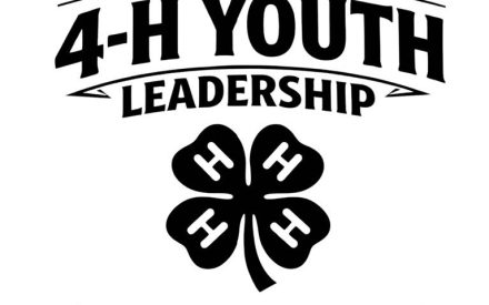 Join the 4-H Youth Leadership Group!