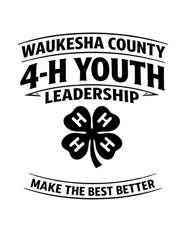 Youth Leadership Group logo
